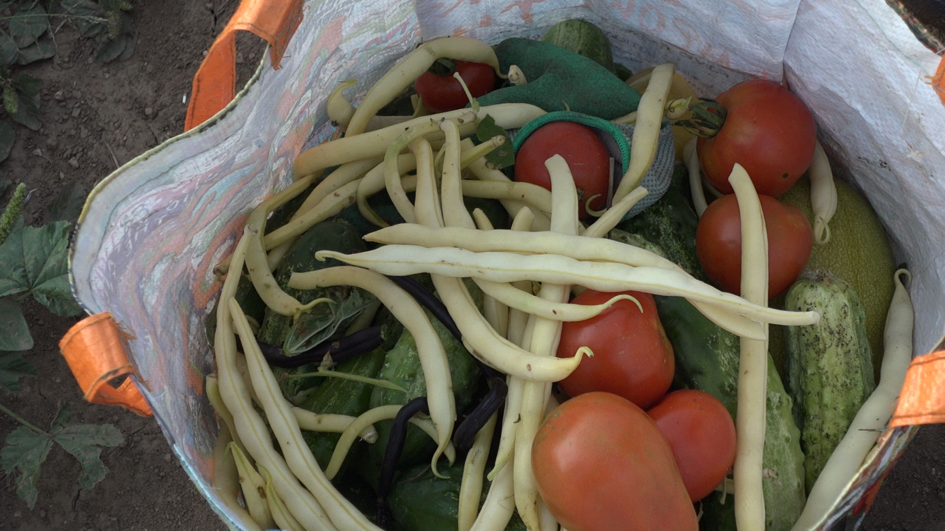 CNCG - Clip0119.MXF bag of veggied #2.jpg